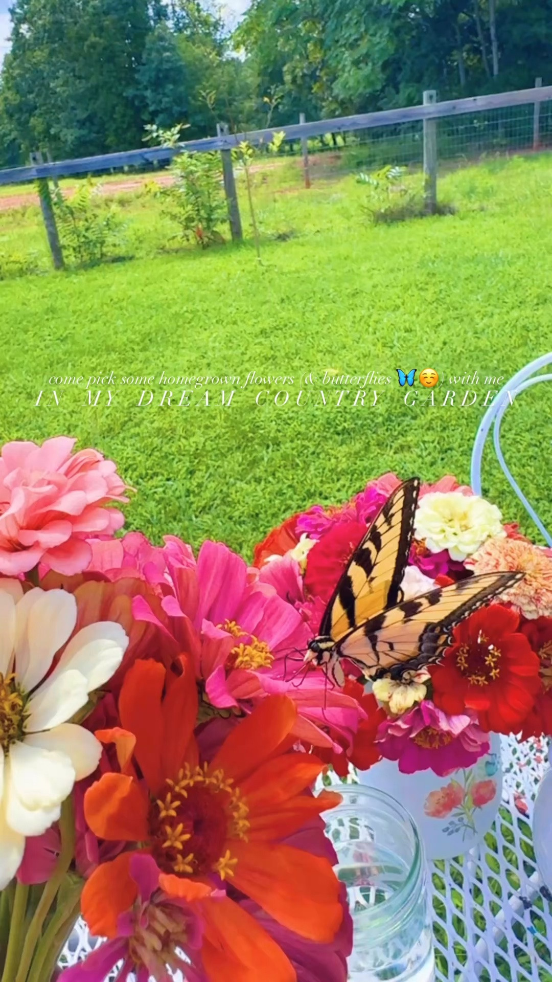 Come pick some homegrown flowers (& butterflies 🦋☺️) with me in my dream country garden!!! 💐🌼