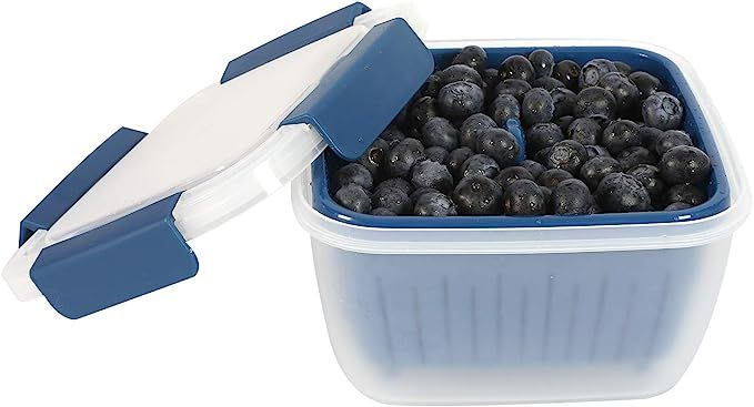 Shopwithgreen Berry Keeper Box Containers, Berry Boxes Keep Fresh Produce Saver Food Storage Cont... | Amazon (US)