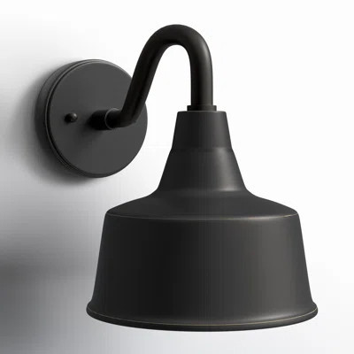 Blakeston Outdoor Barn Light | Wayfair North America