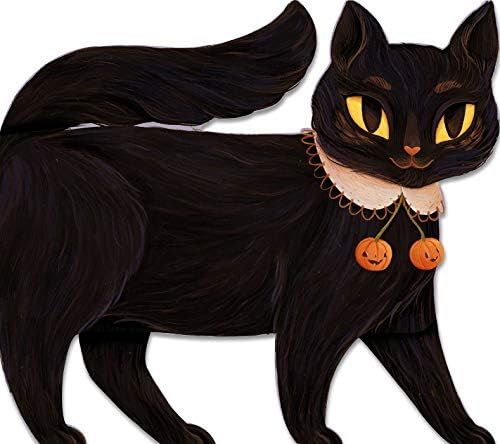 One Black Cat: Rogge, Robie, Ro, August: 9781534464049: Amazon.com: Books | Amazon (US)