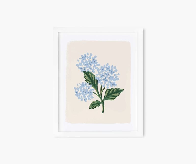 Hydrangea Bloom Cream Art Print | Rifle Paper Co. | Rifle Paper Co.