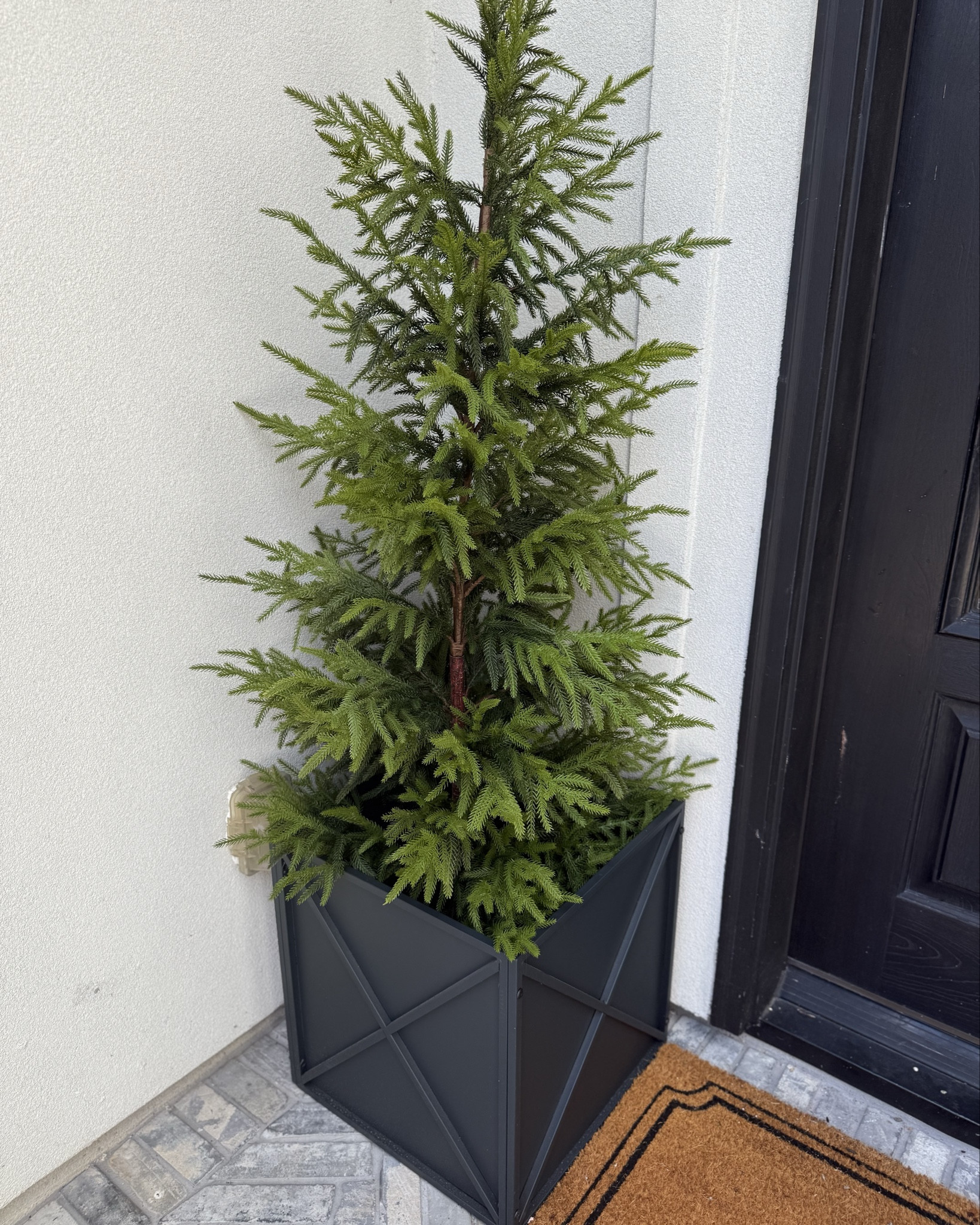 Norfolk trees on sale for Amazon Prome Deal Days 

#LTKHome #LTKSaleAlert #LTKSeasonal