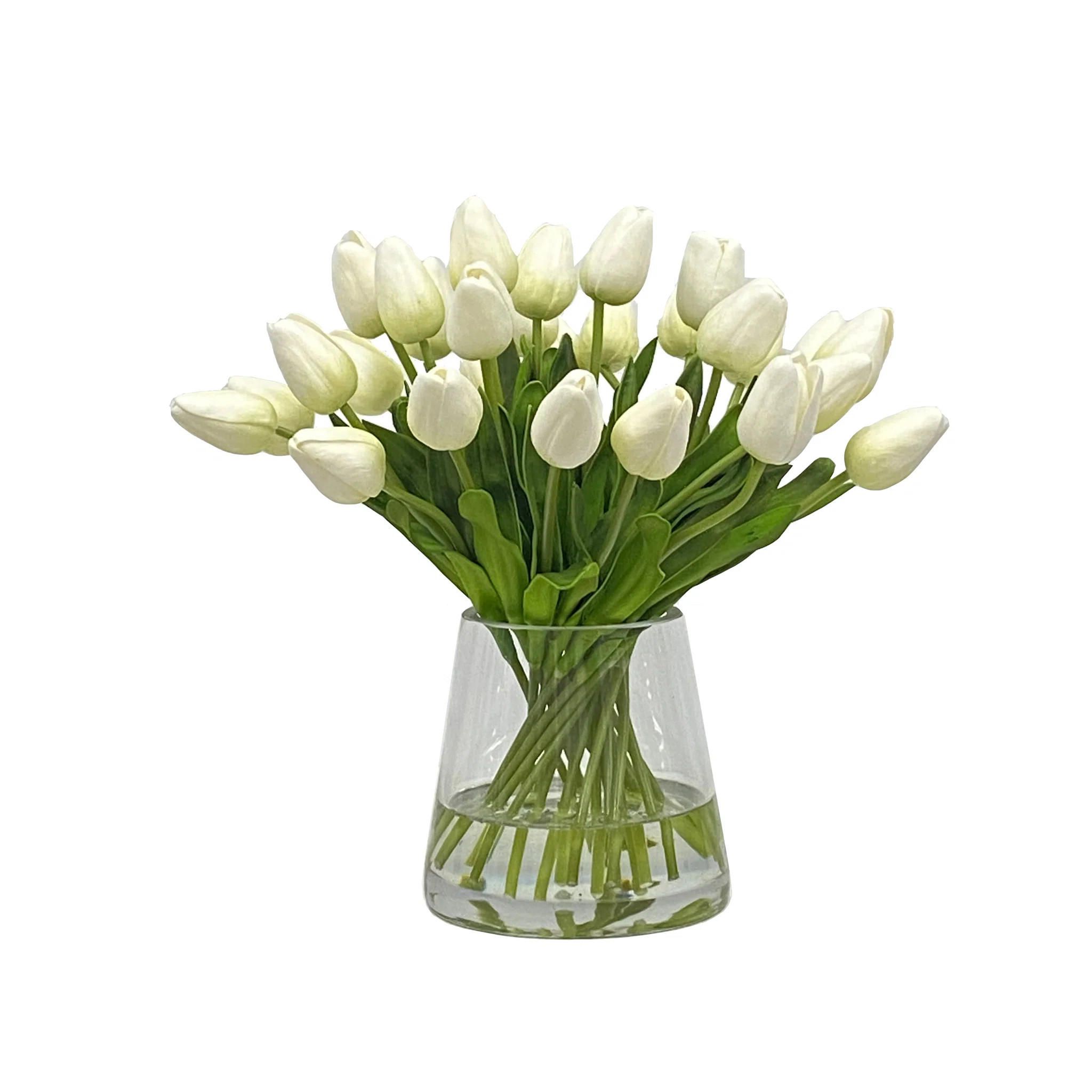 TULIP IN VASE | Birch Lane