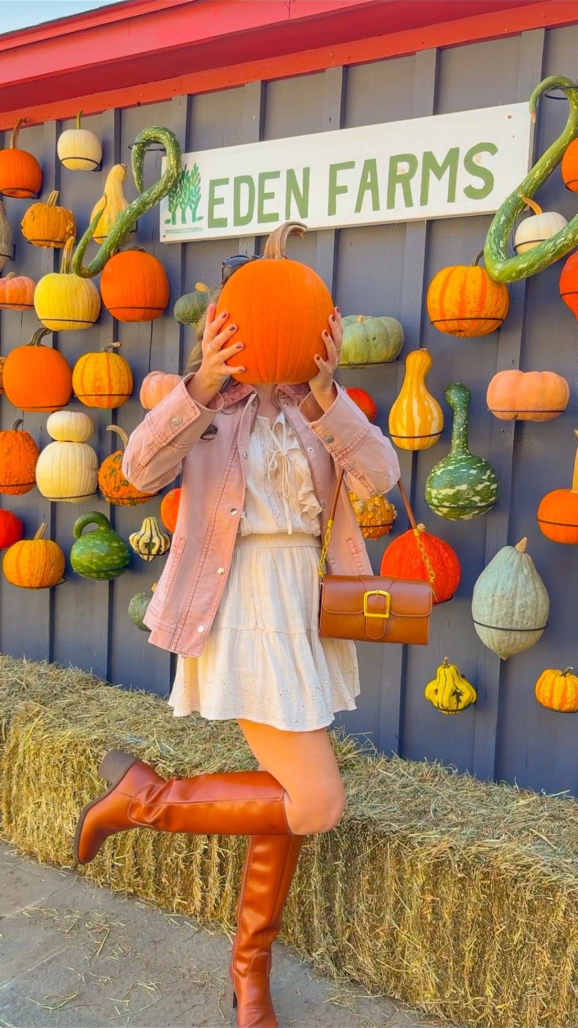 Pumpkin patch outfit! 🎃🍁🍂 Wearing XS in the dress and the barn jacket 🎃

#LTKFindsUnder100 #LTKHalloween #LTKSeasonal