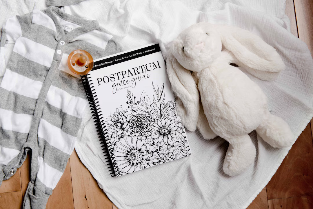 Postpartum Grace Guide: A Day-by-day Message and Inspirational Journal for New Moms - Etsy | Etsy (US)