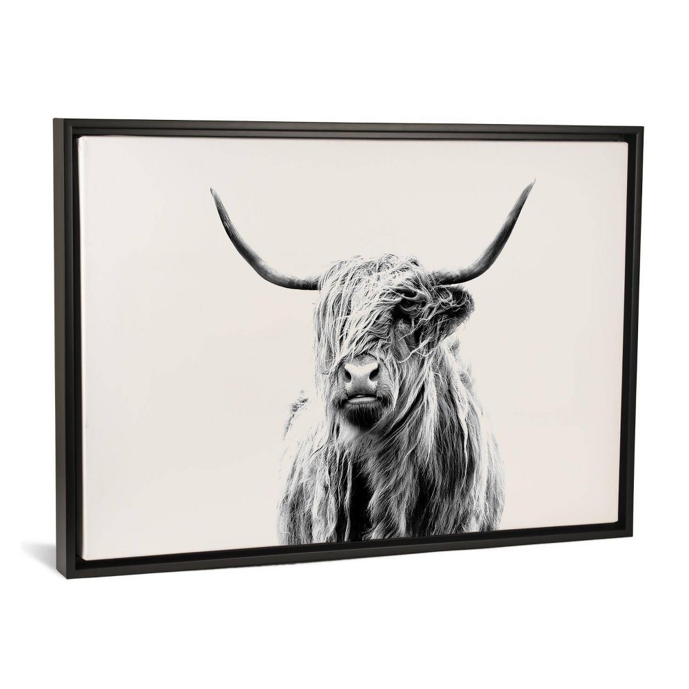 40"" x 26"" Portrait of A Highland Cow by Dorit Fuhg Framed Canvas Print Black - iCanvas | Target