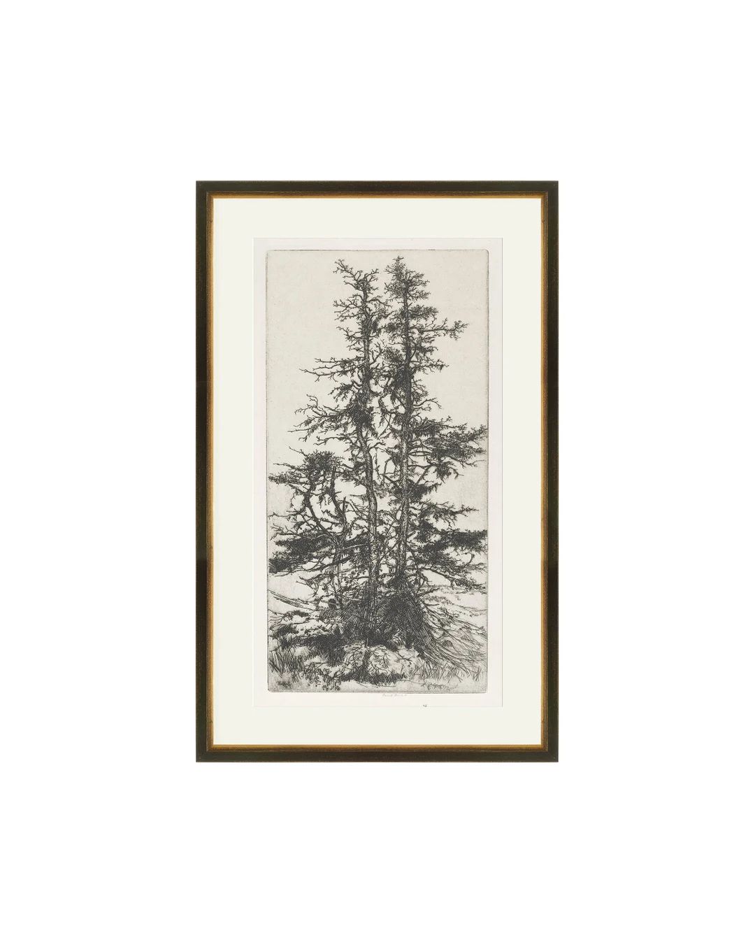 FRAMED. Trees Etching 3. Etching Tree Print Framed. Vintage - Etsy | Etsy (US)