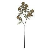 Creative Co-op Faux Flocked Queen Anne's Lace Stem Botanicals, Cream | Amazon (US)
