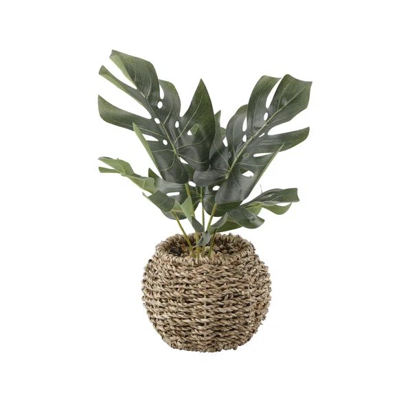 8" Artificial Philodendron Plan in Basket | Wayfair North America