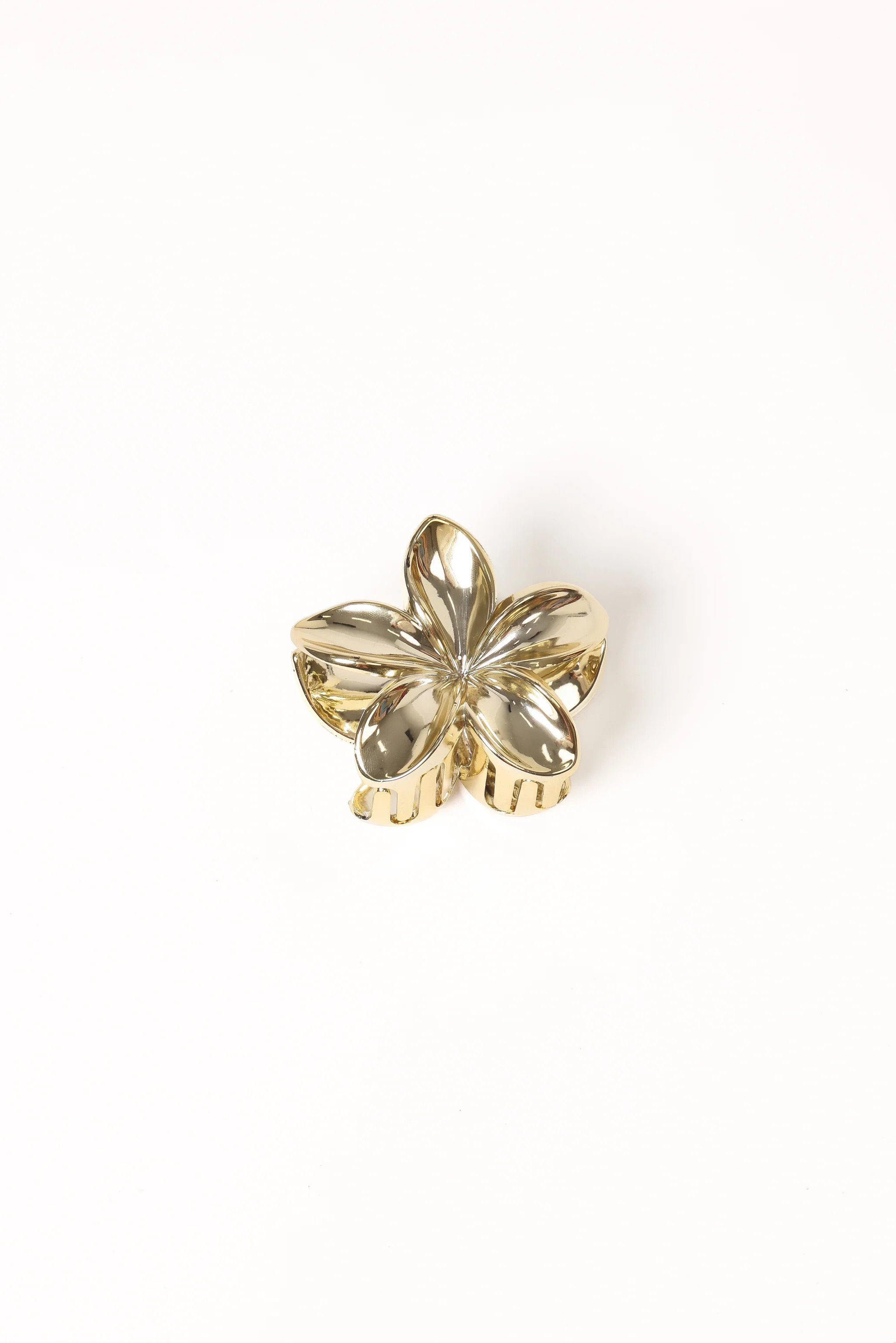Tiarne Hair Clip - Gold | Petal & Pup (US)