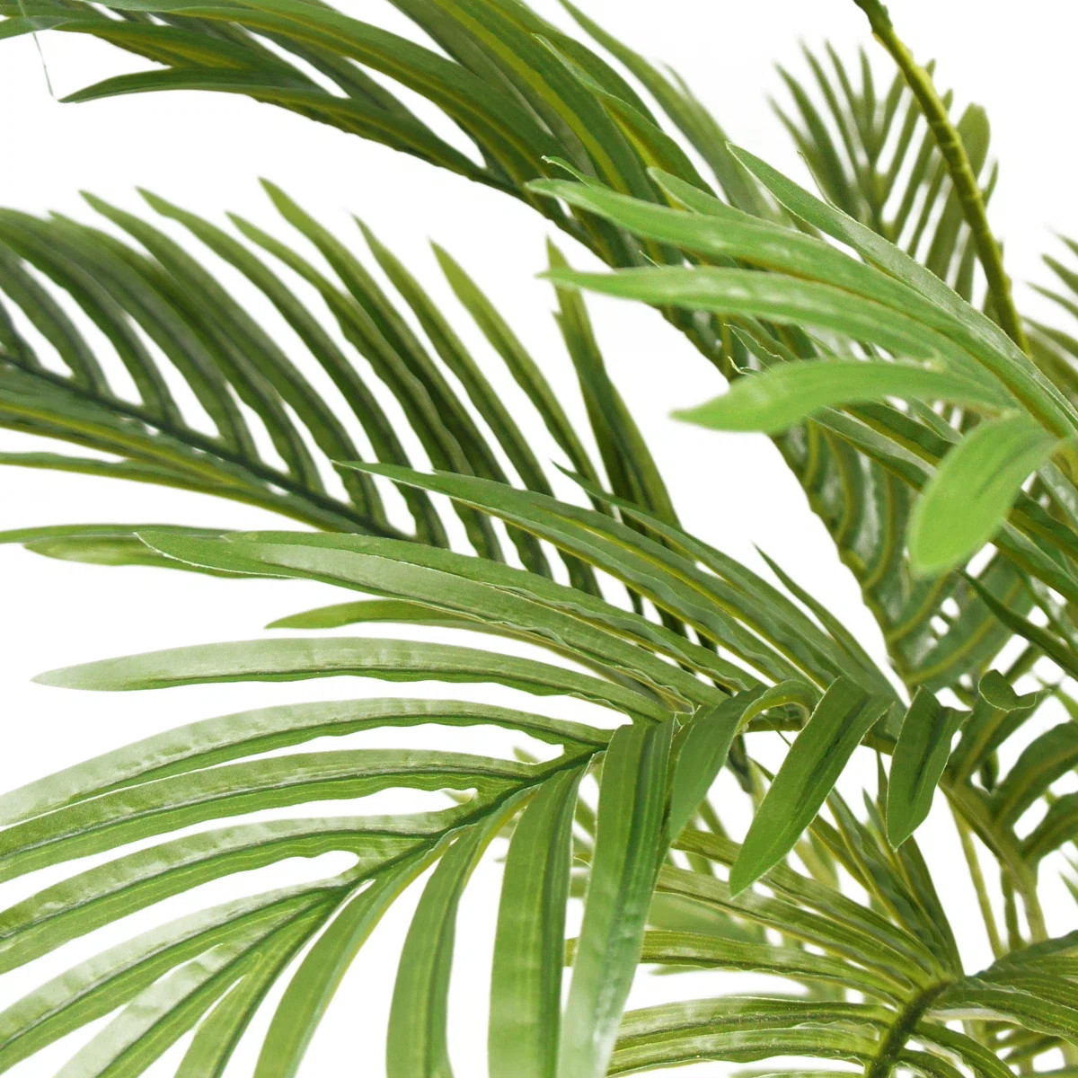 Faux Palm Tree in Plastic / Acrylic Pot | Wayfair North America