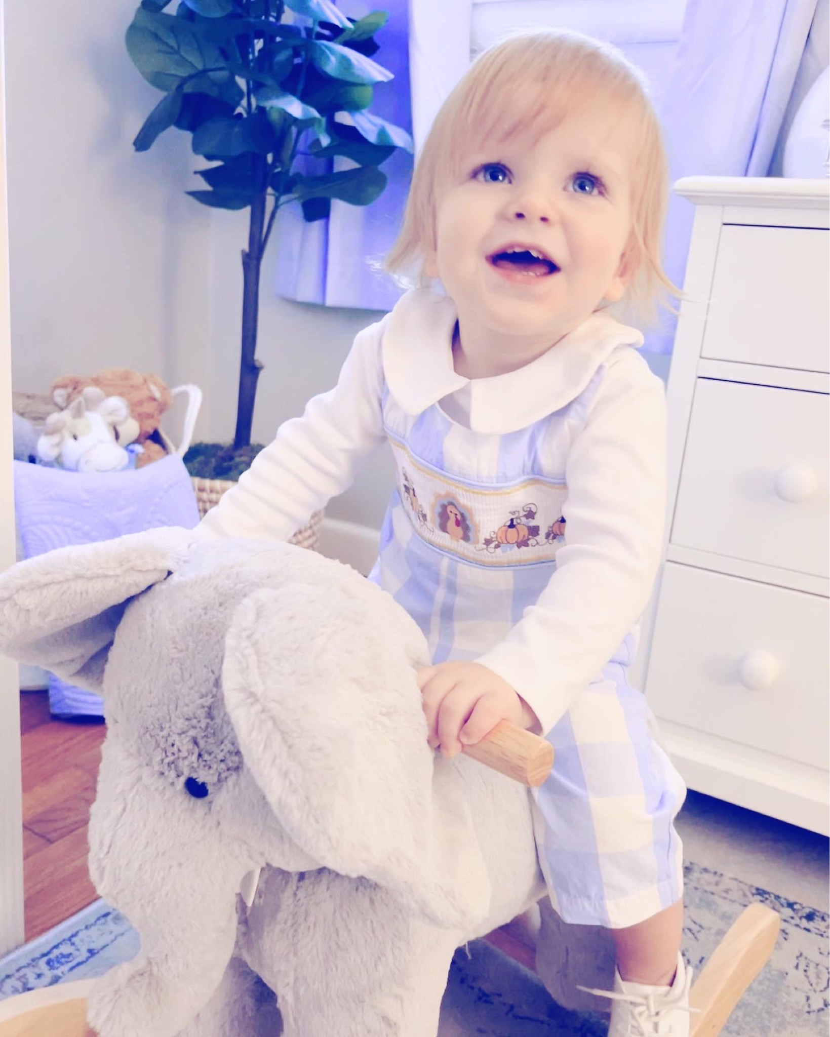 This happy little turkey had the very best thanksgiving 👼🏼🧡 - full of lots of yummy food 😋 (such a good little eater 👏🏽!!), feeding the goats 🐐, and sweet family time 🫶🏽!! We have so very much to be thankful for, and loved getting to celebrate in gratitude with those we love this thanksgiving day!! 🦃✨ #happythanksgivng #blessingsuponblessings #gratefulheart #ourlittleturkey

…

#emilysayswes #judsoncarpentermabry #seventeenmonthsold #seventeenmonthold #seventeenmontholdbaby #seventeenmontholdboy #judsonmonthbymonth #sweetjudson #oursweetboy #oneyearold #oneyearoldbaby #oneyearoldbabyboy #oneyearoldboy #gratefulmotherhood #thankyoulord #sweetfallmemories #mysweetboys #novembermemories #thanksgivinggratitude #happythanksgivingday 

#LTKHoliday #LTKSeasonal #LTKfamily