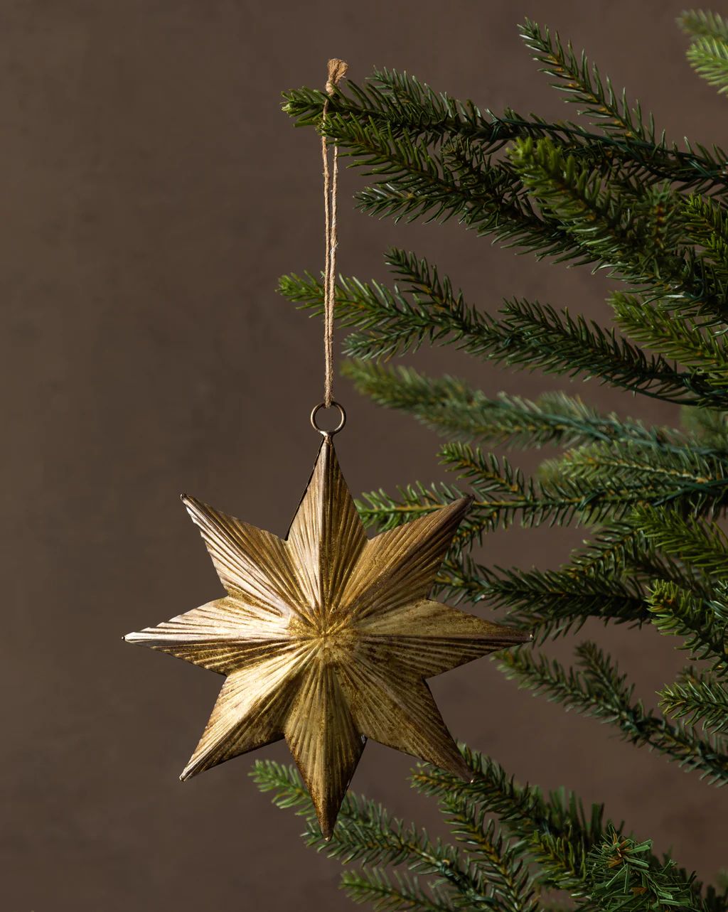 Embossed Star Ornament | McGee & Co.