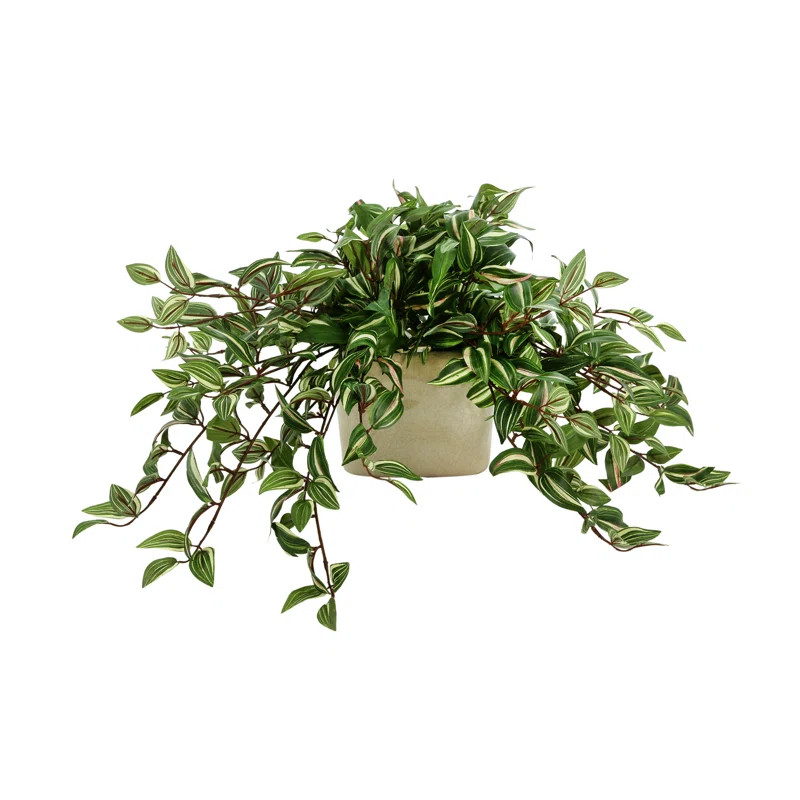 Karas Faux Tradescantia Plant in Ceramic Vase | Wayfair North America