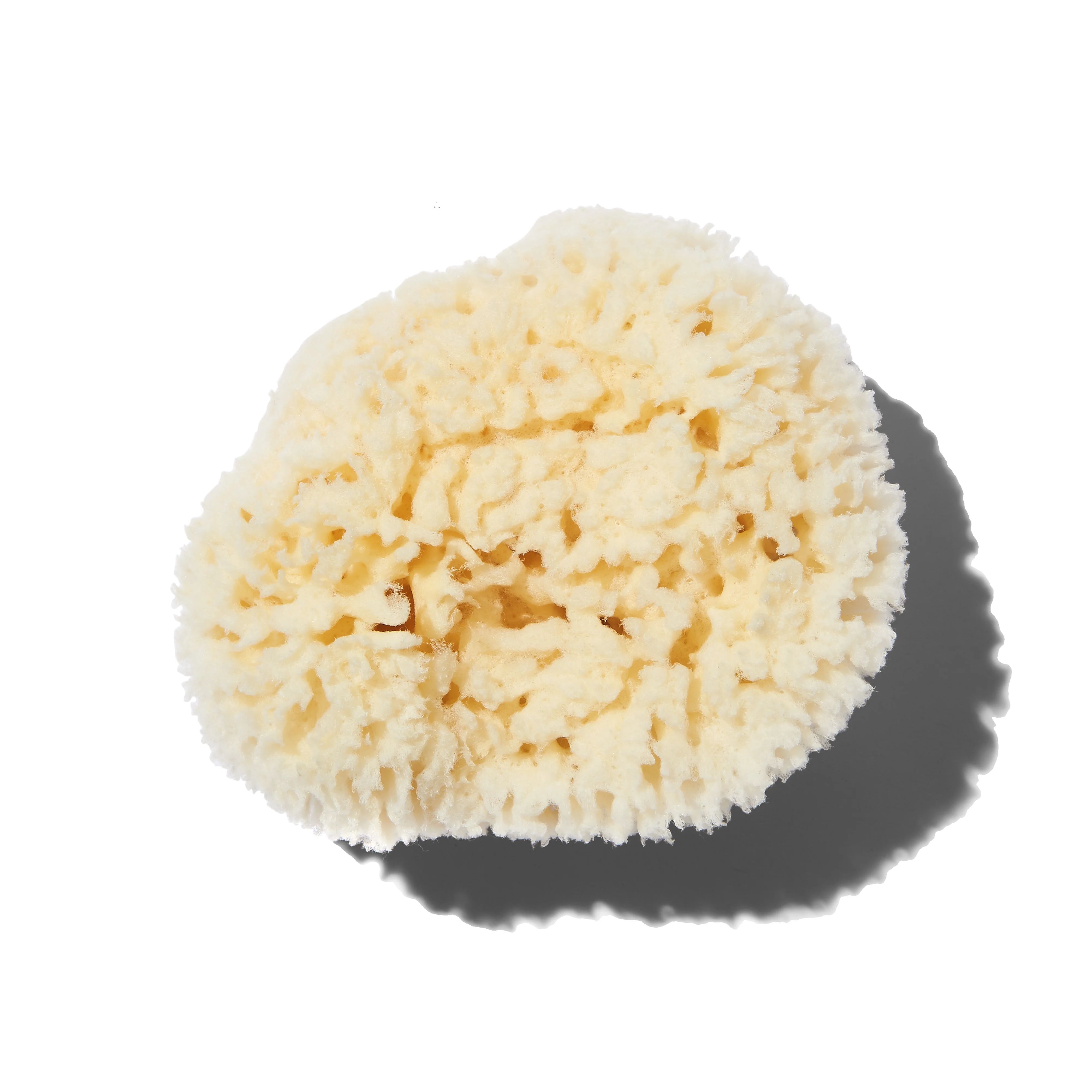 Natural Sea Wool Sponge | Follain
