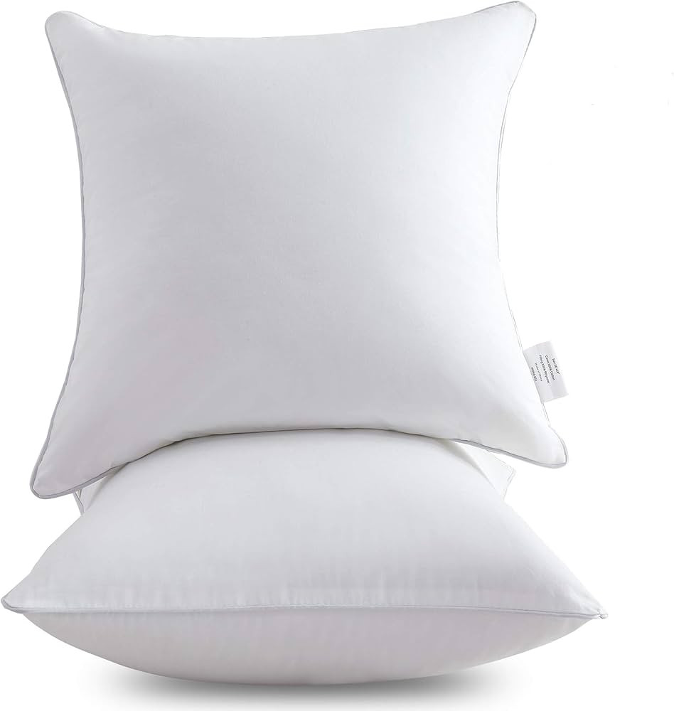 Leeden 18 x 18 Pillow Inserts (Set of 2) - Throw Pillow Inserts with 100% Cotton Cover - 18 Inch ... | Amazon (US)