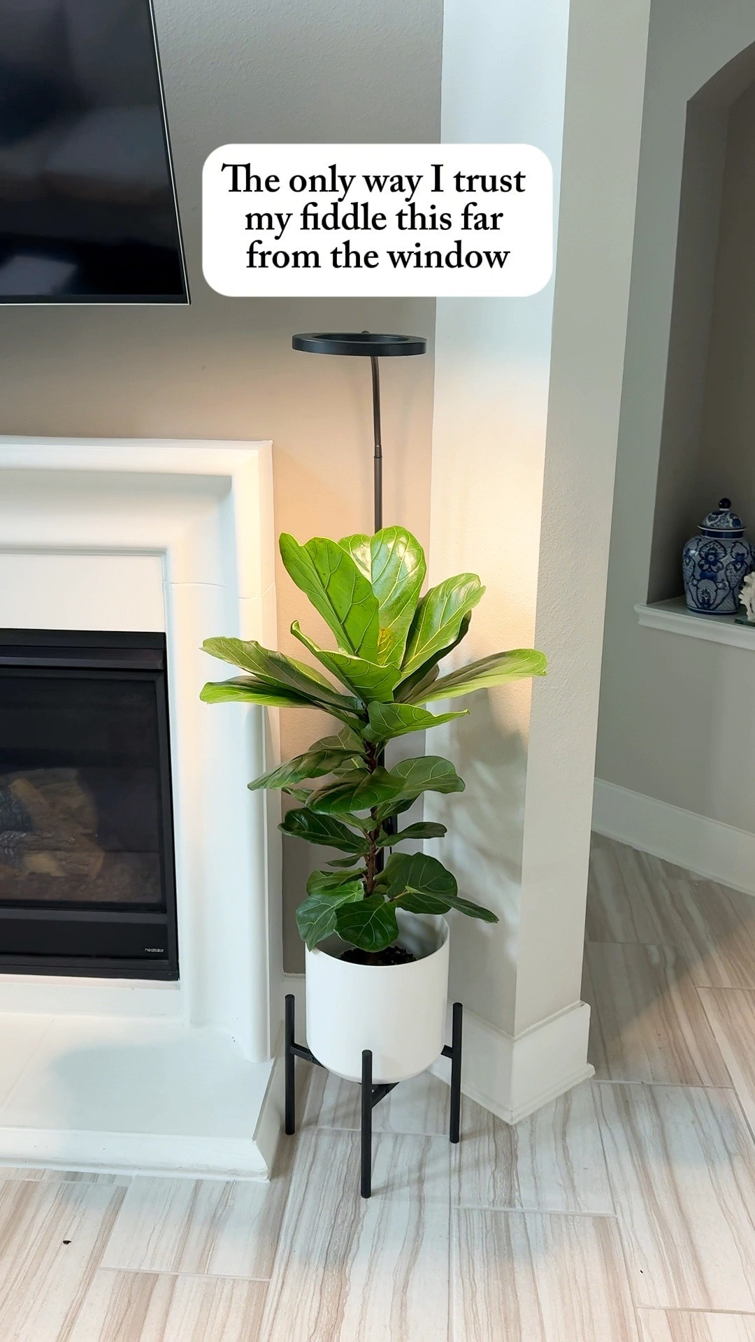 Save yourself 20% with my discount code @glowrium 

This is such a pretty way to give your plants the light they need while making them feel like part of your home. Functional, simple, and something I’d actually want sitting in my space. 🤍

#PlantLovers #Houseplants #IndoorPlants #PlantStyling #GrowLights