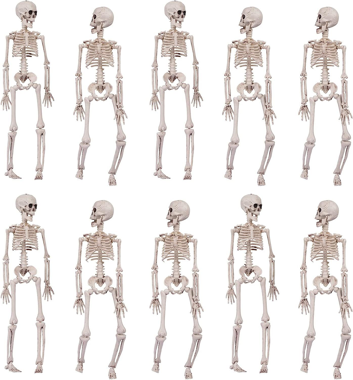 Decorlife 10PCS Skeleton Halloween Decoration, 16" Posable Skeletons with Movable Joints, Hanging... | Amazon (US)