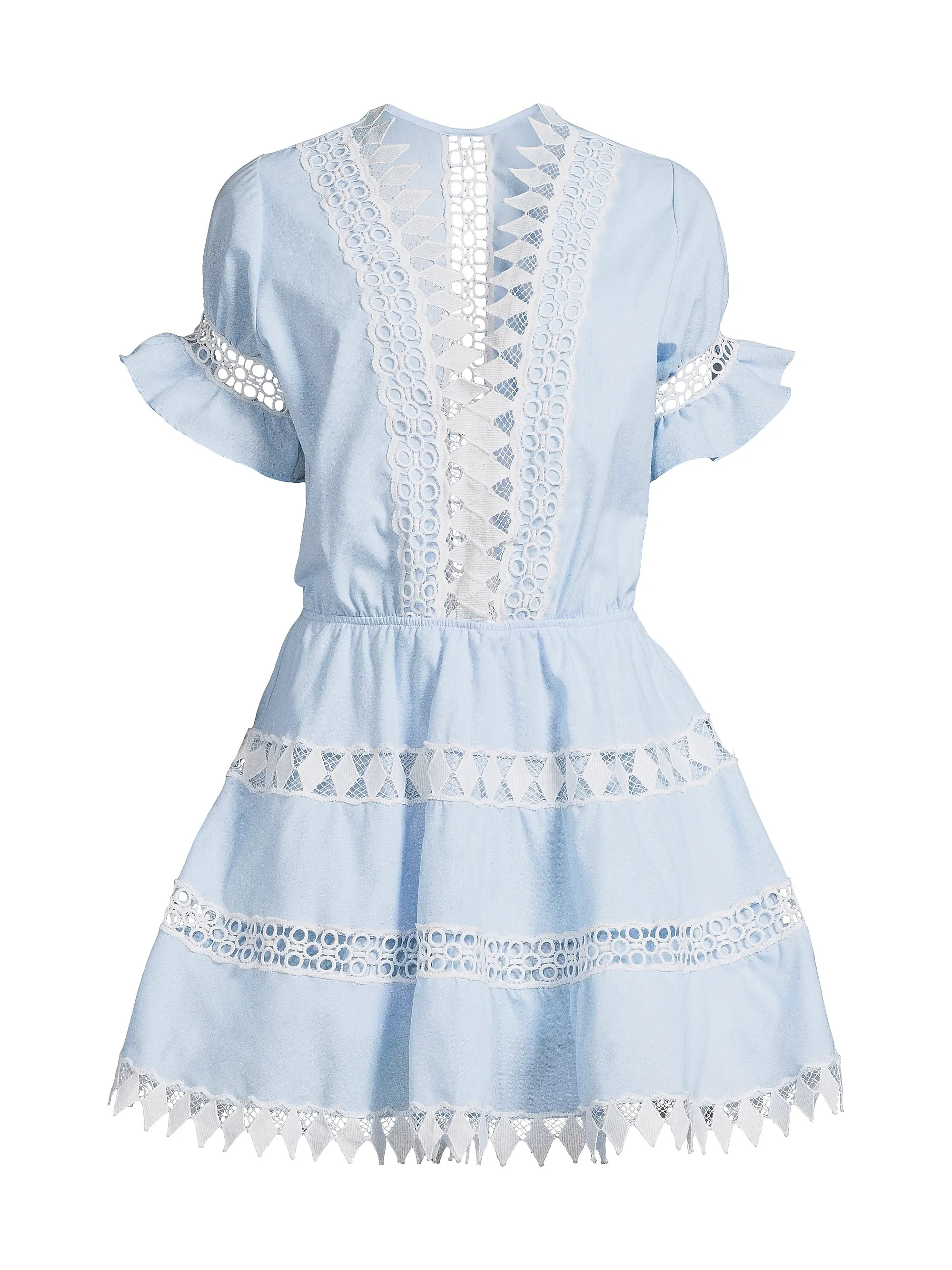 Ora Embroidered Mini Dress | Saks Fifth Avenue
