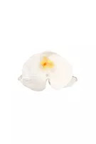 Orchid flower hair clip | PULL and BEAR UK
