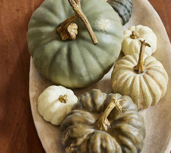 Faux Pumpkins & Gourds - Set of 5 | Pottery Barn (US)