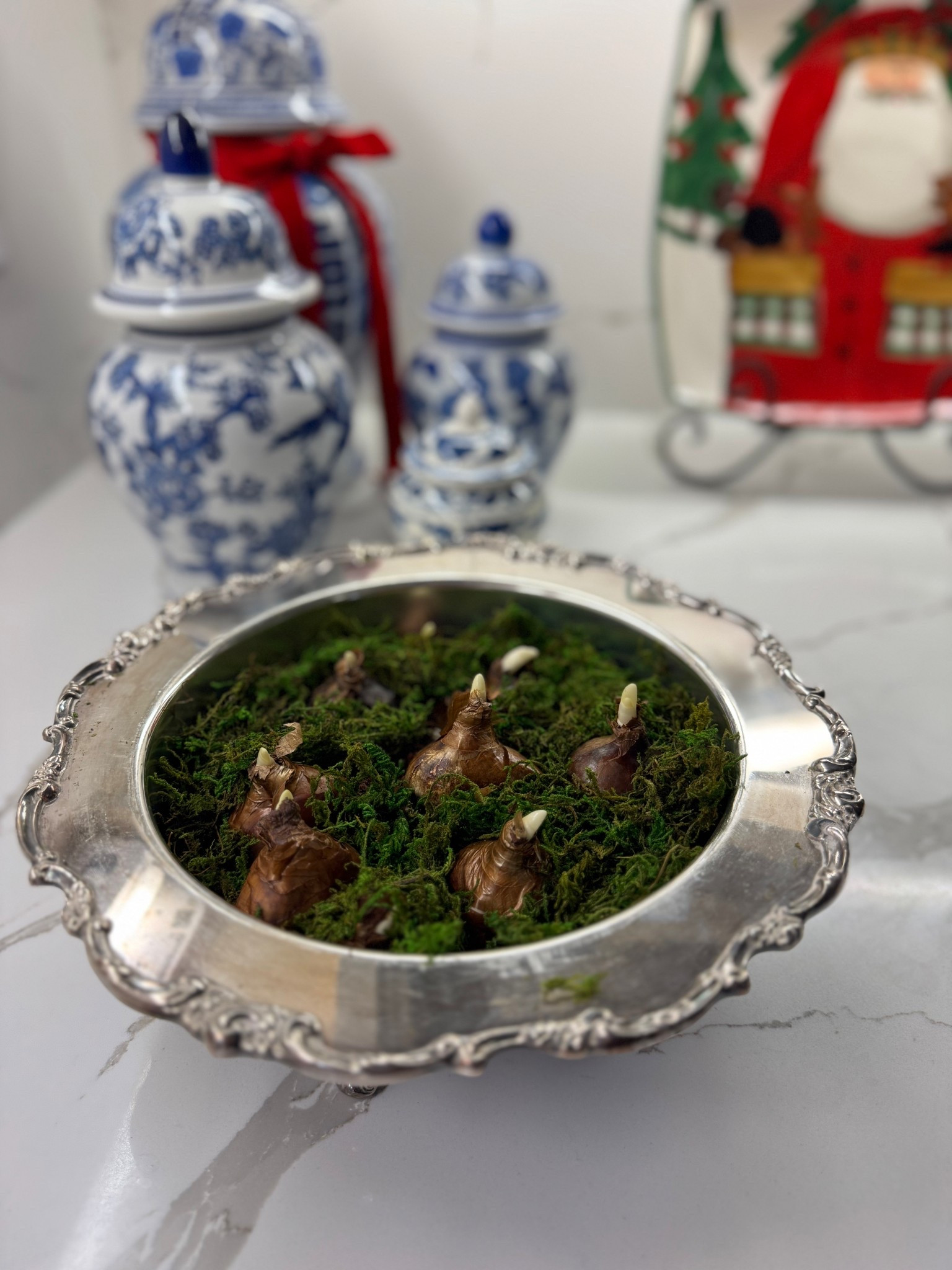 Nothing says Christmas charm like fresh paperwhites in gleaming vintage silver. An effortless seasonal centerpiece that grows more beautiful each day. ✨

#LTKHoliday #LTKHome #LTKSeasonal