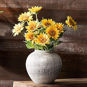 The Hillary Style - Modern Simple Handmade coarse Clay Pot | Amazon (US)