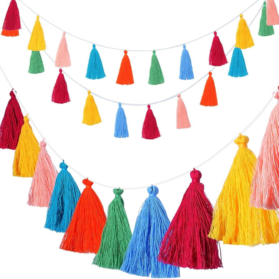 WILLBOND 4 Pieces Tassel Garland Boho Colorful Tassel Banner Decorative Wall Hanging for Home Dec... | Amazon (US)