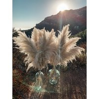Pampas Grass, Extra Large, Fluffy 4Ft, Home Decor, Boho Wedding Decoration, Dried Florals | Etsy (US)