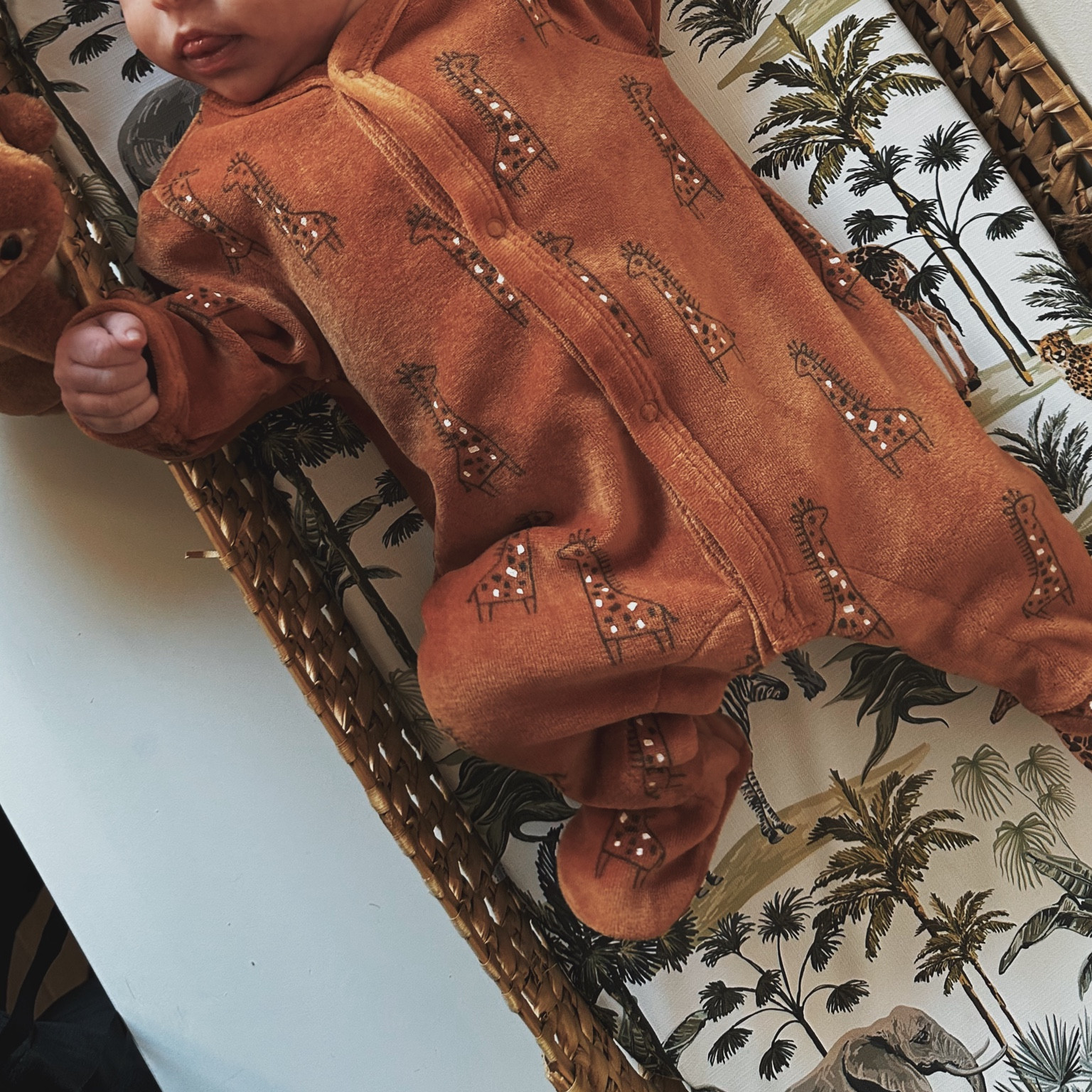 #LTKbump #LTKbaby #LTKfamily
