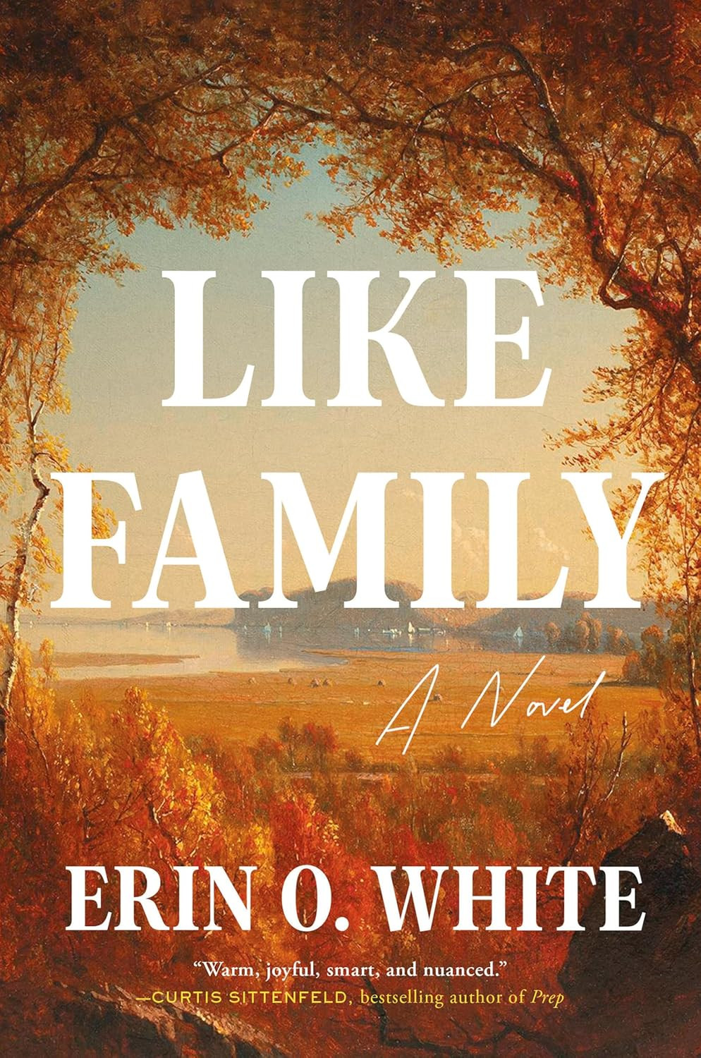 Like Family: A Novel      Hardcover – November 4, 2025 | Amazon (US)