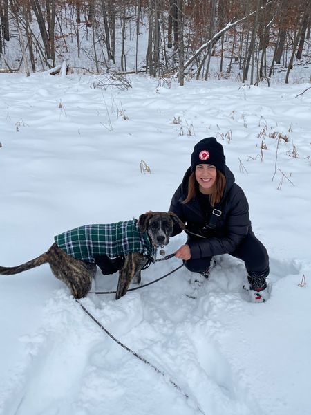 Dog gear for winter hiking - olive is 52lbs and wears xl in the jacket

#LTKunder50 #LTKfamily