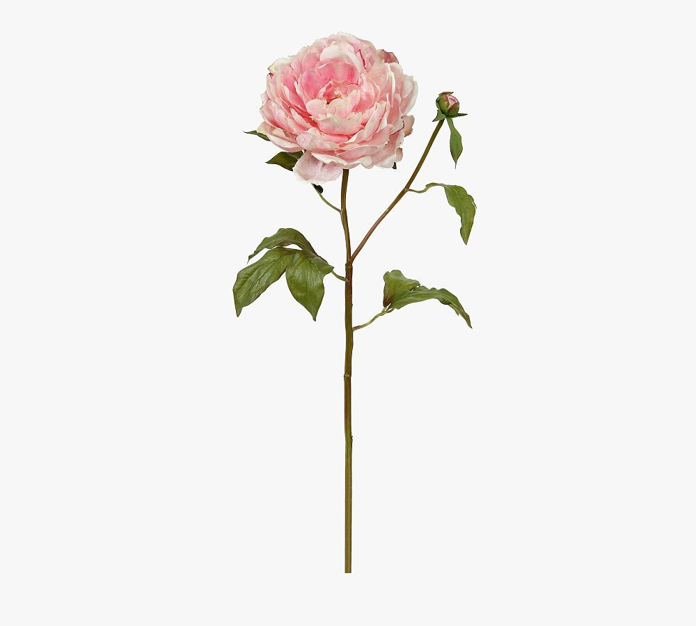 Faux Peony Dozen Stems | Pottery Barn (US)