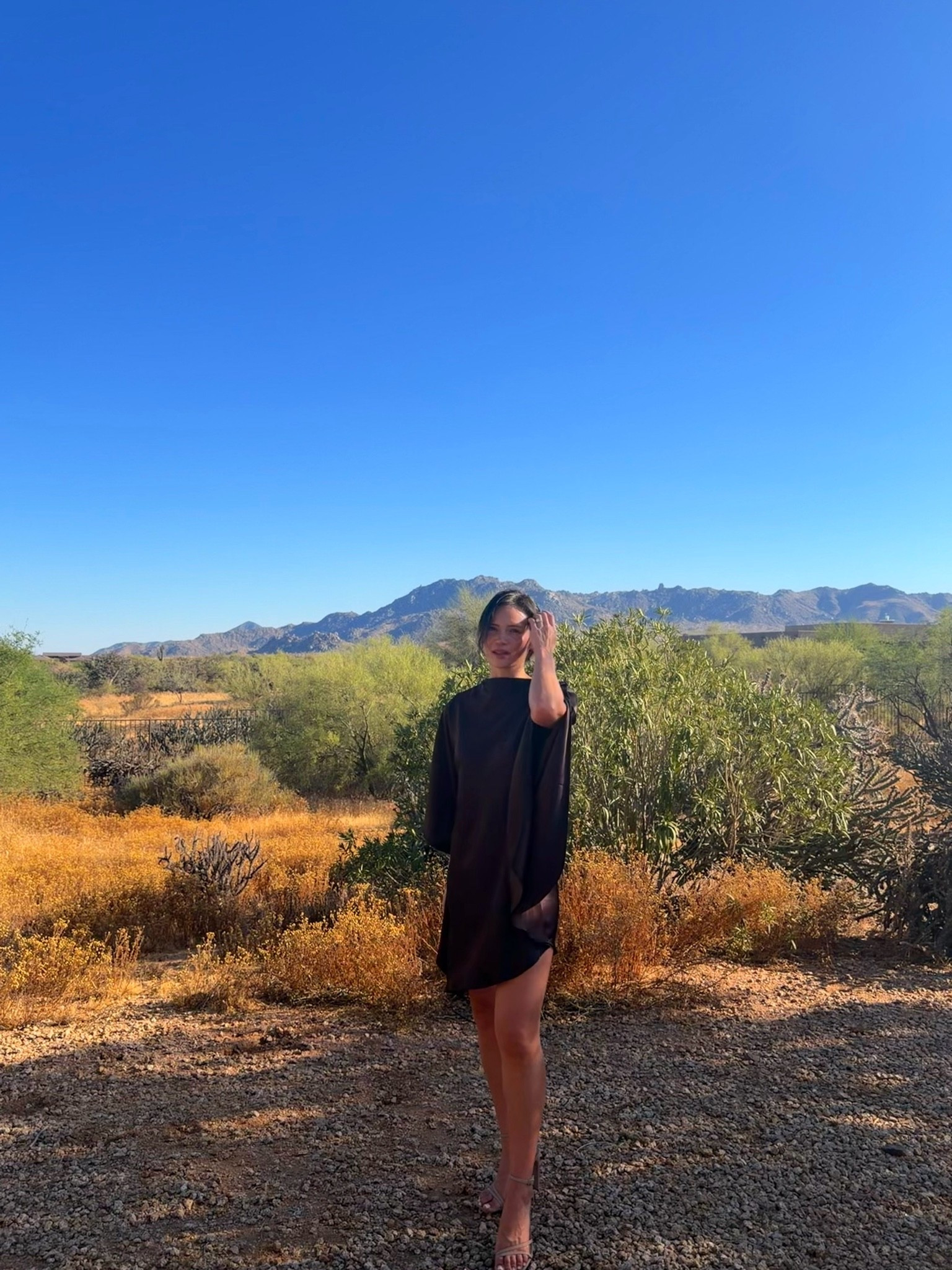 Desert tones