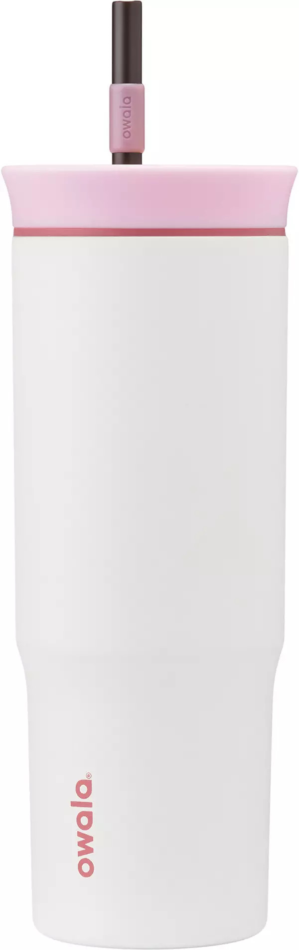 Owala 24 oz. Stainless Steel Straw Tumbler | Dick's Sporting Goods | Dick's Sporting Goods