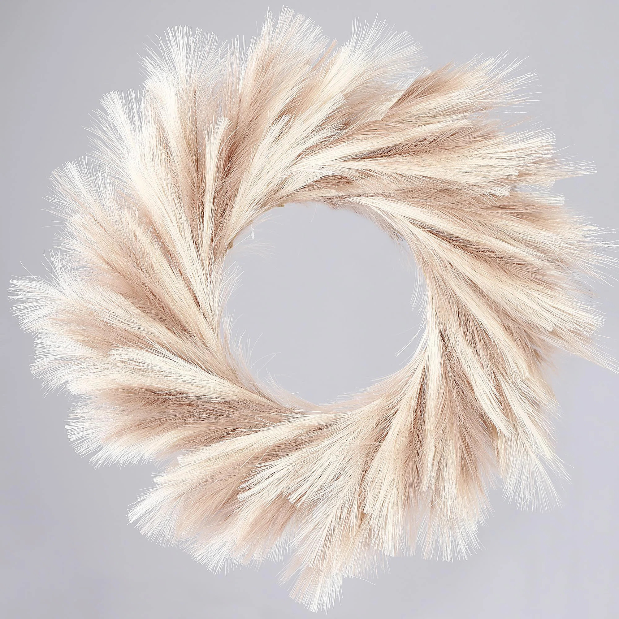 Dakota Fields 26" Faux Pampas Grass Wreath â€“ All-Season Boho Front Door & Wall Decor | Way... | Wayfair North America