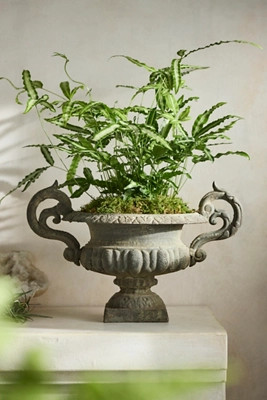Cast Iron Handled Urn | Terrain