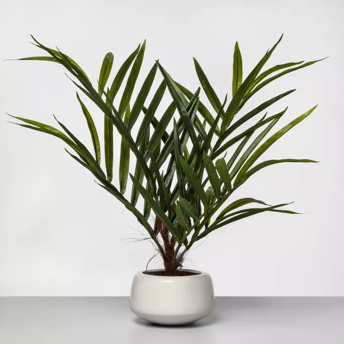 27" x 16" Artificial Potted Palm White - Project 62™ | Target