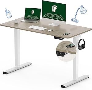 FLEXISPOT Standing Desk Quick Assembly Electric Adjustable with 48 x 24 Inches Whole-Piece Deskto... | Amazon (US)