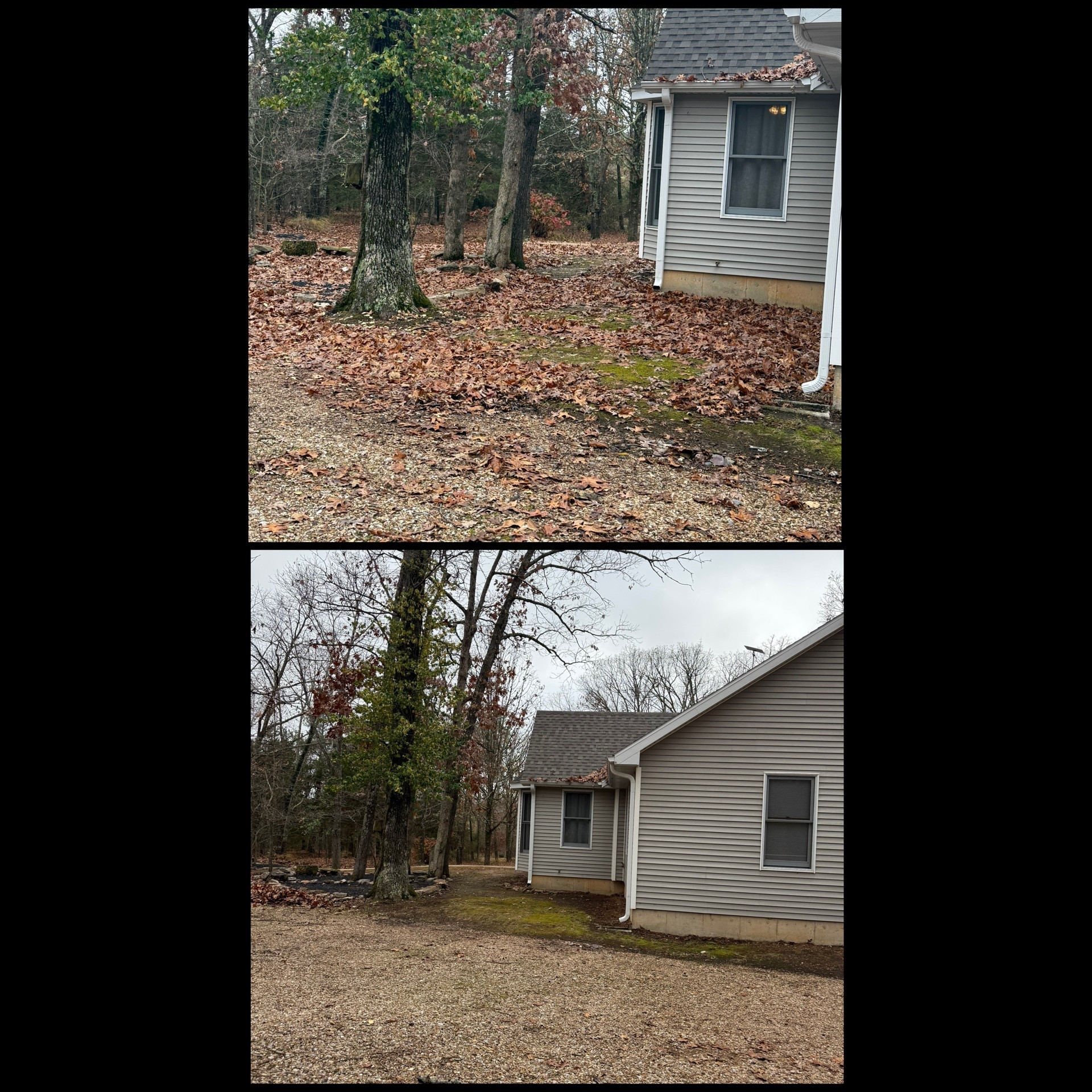 I basically live in a treehouse and I love it until it comes time to blow leaves. 🙃

I LOVE this battery powered leaf blower to blow the leaves off my porch, deck, and just around the property in general. 



#LTKGiftGuide #LTKmomlife #LTKdayinmylife