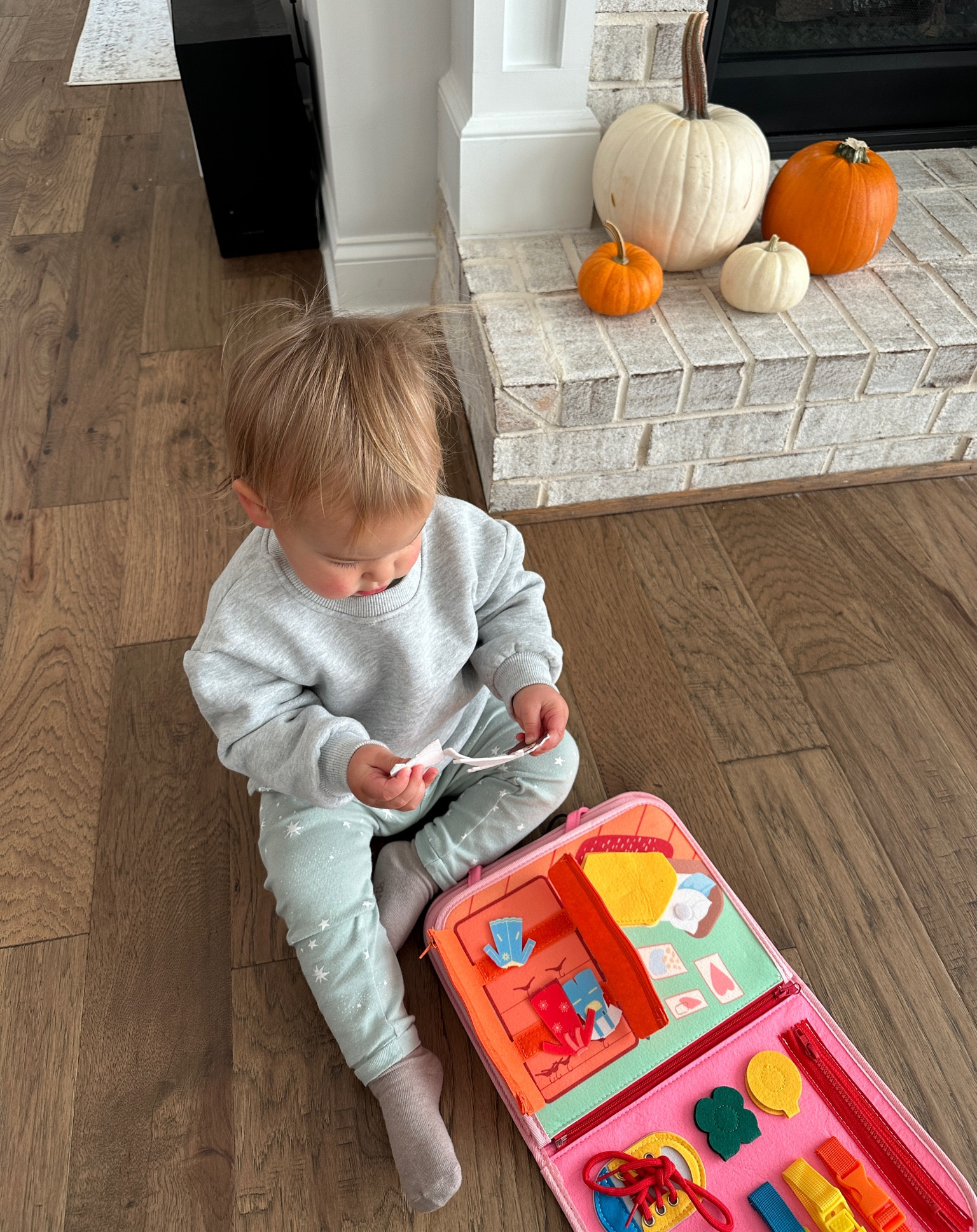 Toddler crewneck and travel toy from Amazon!

#LTKkids #LTKbaby #LTKtravel