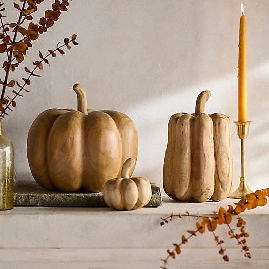 Teak Pumpkin | Terrain