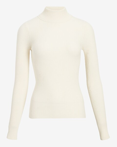 Fitted Ribbed Turtleneck Sweater | Express
