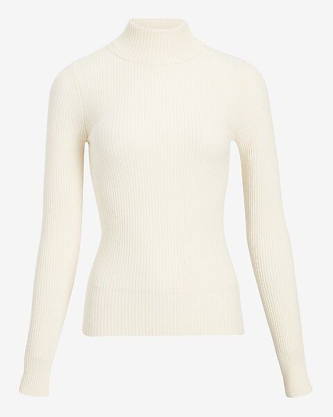 Fitted Ribbed Turtleneck Sweater | Express