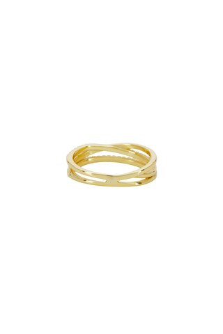 Stacey Double Pave Ring in Gold | Revolve Clothing (Global)