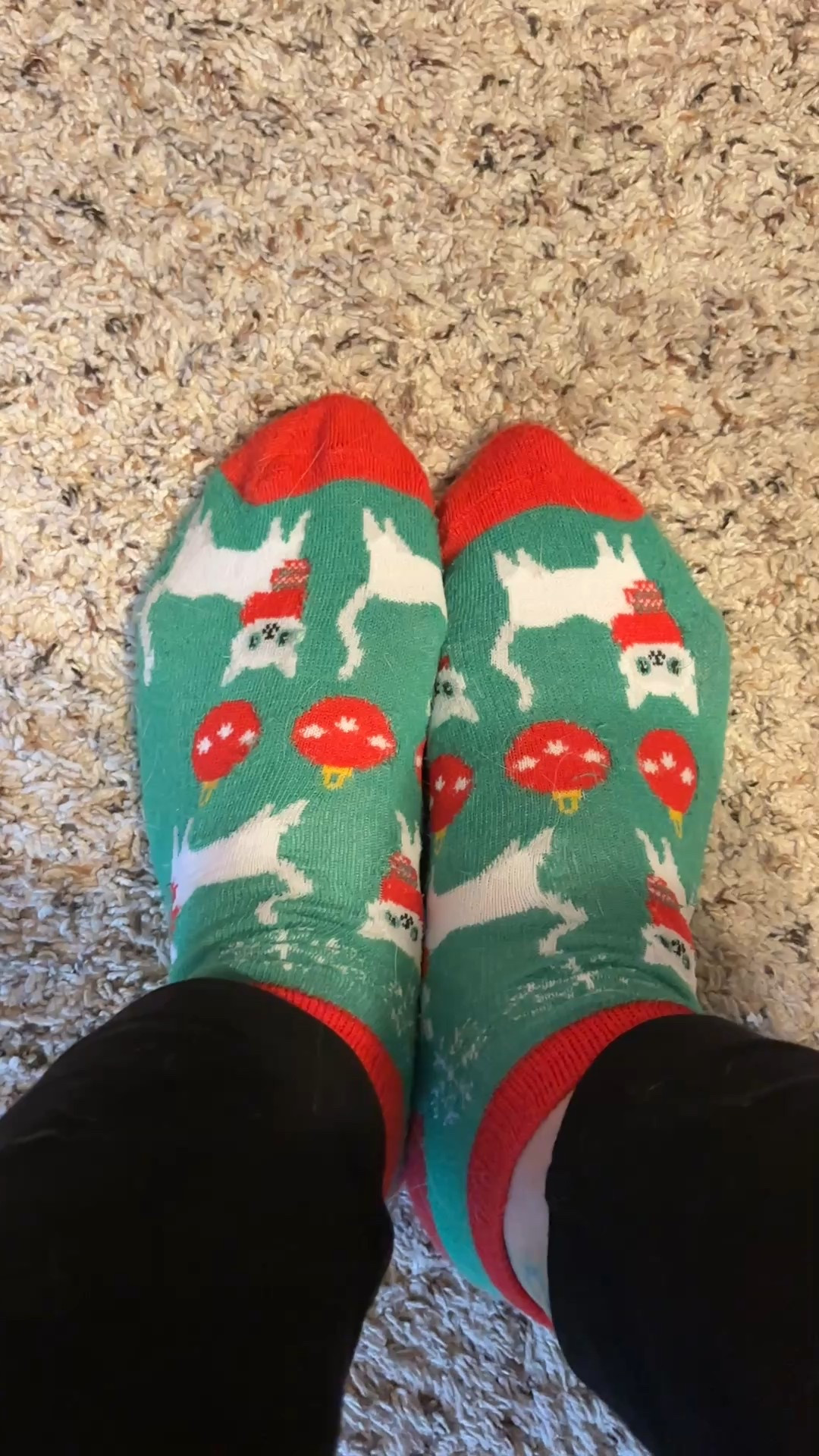 The perfect last min gift!

#LTKHoliday #LTKSeasonal #LTKGiftGuide