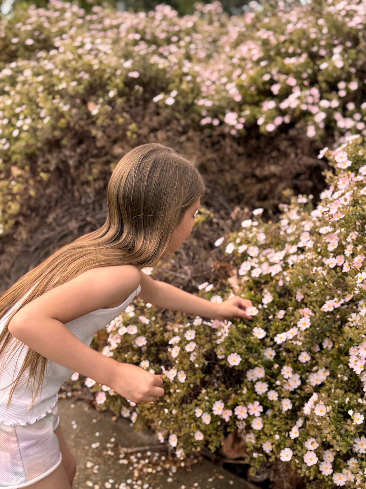 girls tank top under $4




#LTKKids #LTKmomlife #LTKdayinmylife
