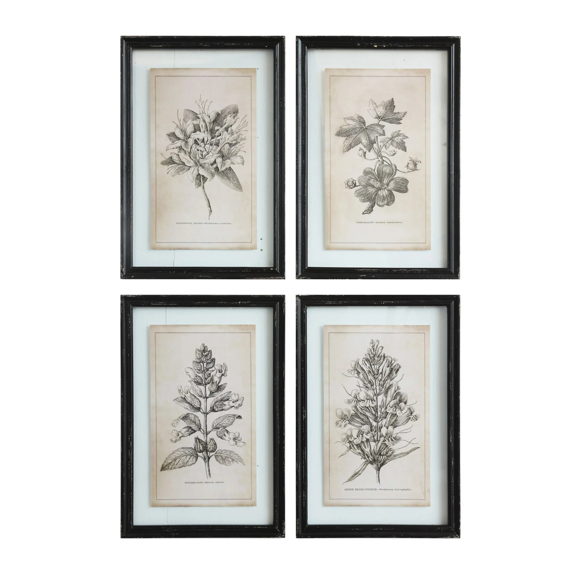 Creative Co-Op Wood Framed Wall Décor with Floral Images, Multicolor, Set of 4 | Walmart (US)