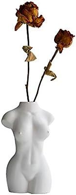 AMITD Female Body Form vase for Flower, Sex Body Art Vase, Vases for Decor, Modern Boho Chic Home... | Amazon (US)
