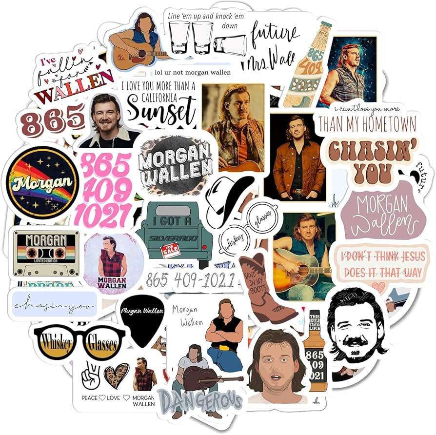 100Pcs Country Singer Stickers - Country Music Merch, Country Singer Merchandise - Waterproof Mus... | Amazon (US)